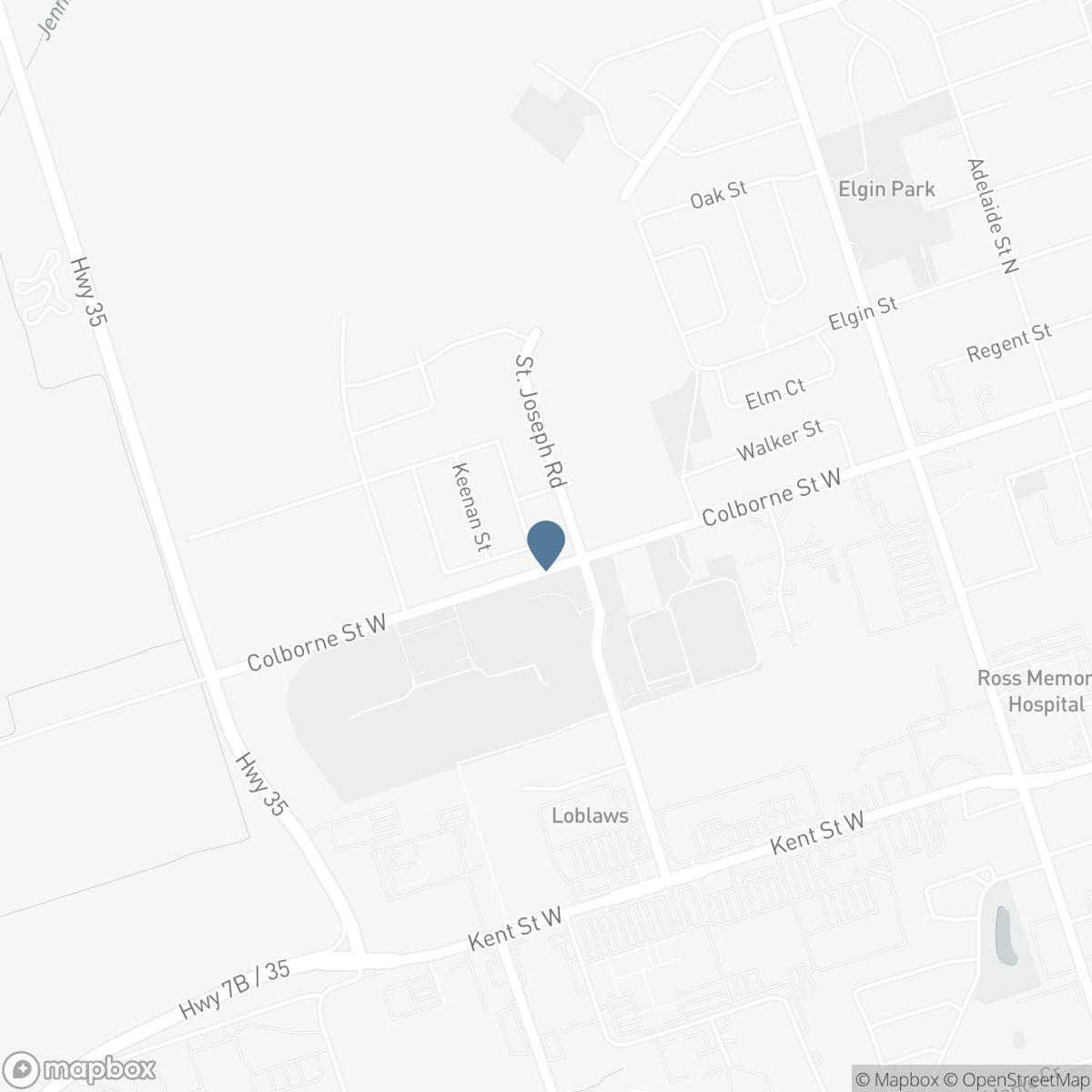 91 CORLEY STREET, Lindsay, Ontario K9V 0R2